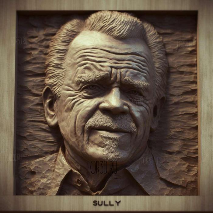 stl Sully movie 1 stl model for CNC